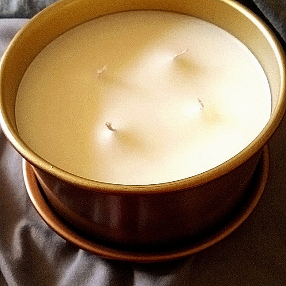 20oz 4 wick Hearth & Hand, Copper/bronze colored Lidded Candle-Salt